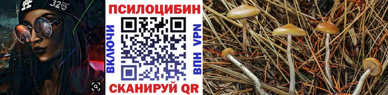 Галлюциногенные грибы ЛСД  Купить закладки  Тейково 